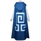 The Legend of Zelda Princess Zelda Dress Suit Adult Cosplay Costume
