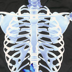 Halloween Skeleton Cosplay Costume Bodycon Jumpsuit for Women - Azufun