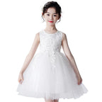 Children's Mesh Summer Dress Princess Dress Girls Performance Costume Flower Tutu Dress