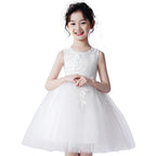 Children's Mesh Summer Dress Princess Dress Girls Performance Costume Flower Tutu Dress